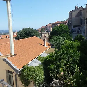 Centre Grasse